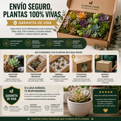 SUCCULUX™ | CREA UN ESPACIO LLENO DE VIDA QUE TRANSMITA PAZ Y ELEGANCIA.