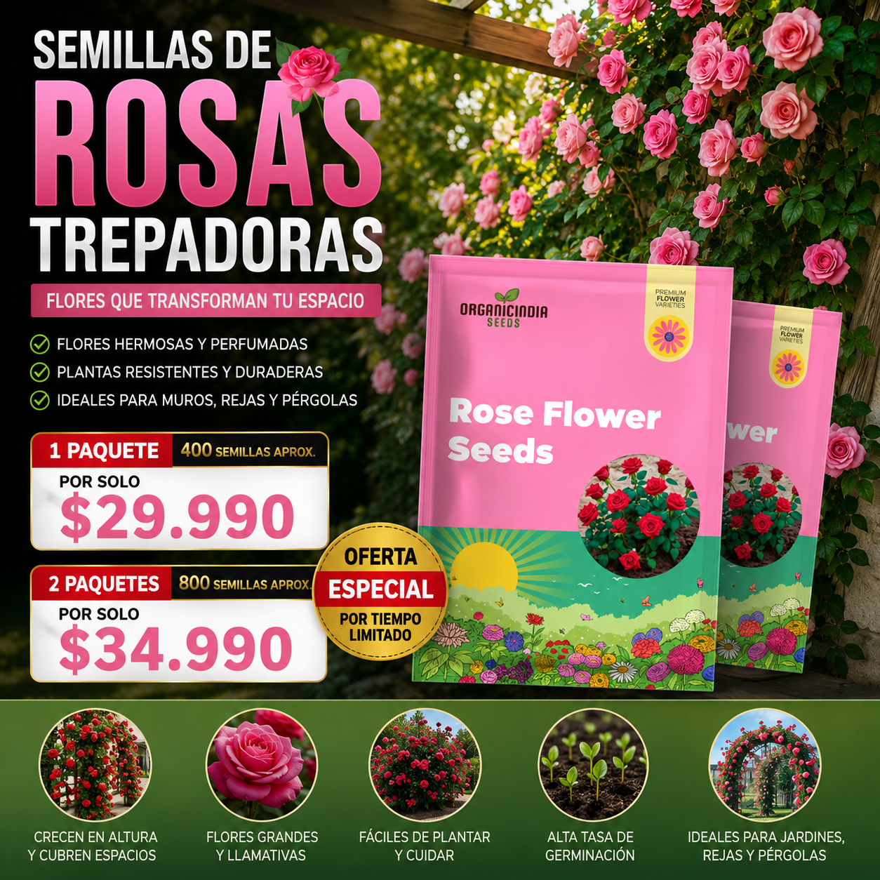 ROSEVAULT™ | LLENA TU HOGAR DE COLOR, VIDA Y PERFUME.