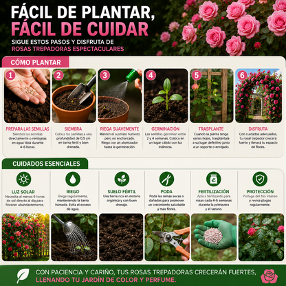 ROSEVAULT™ | LLENA TU HOGAR DE COLOR, VIDA Y PERFUME.