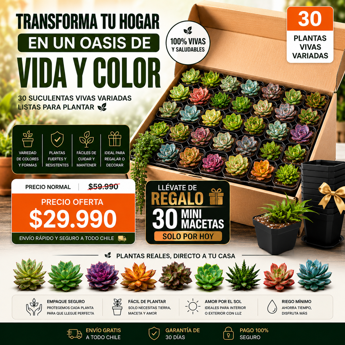 SUCCULUX™ | CREA UN ESPACIO LLENO DE VIDA QUE TRANSMITA PAZ Y ELEGANCIA. - 30 MINI MACETAS DE REGALO