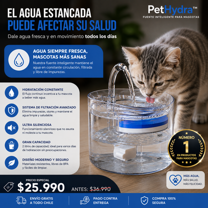 PetHydra™ | Agua fresca para tu mascota incluso cuando no estás