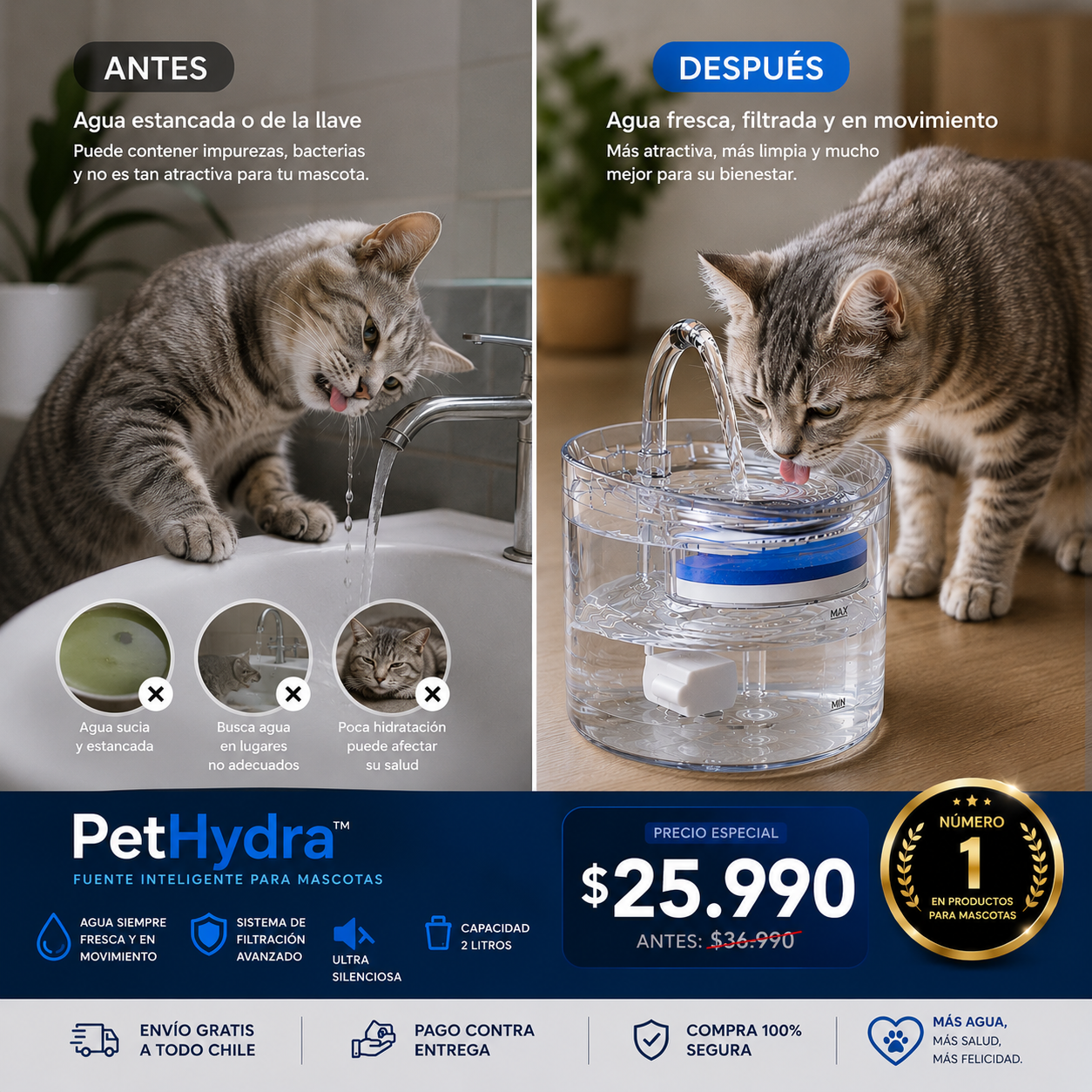 PetHydra™ | Agua fresca para tu mascota incluso cuando no estás